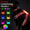 Seven-colour luminous dog lead with padded handle and USB charging cable on a dark background