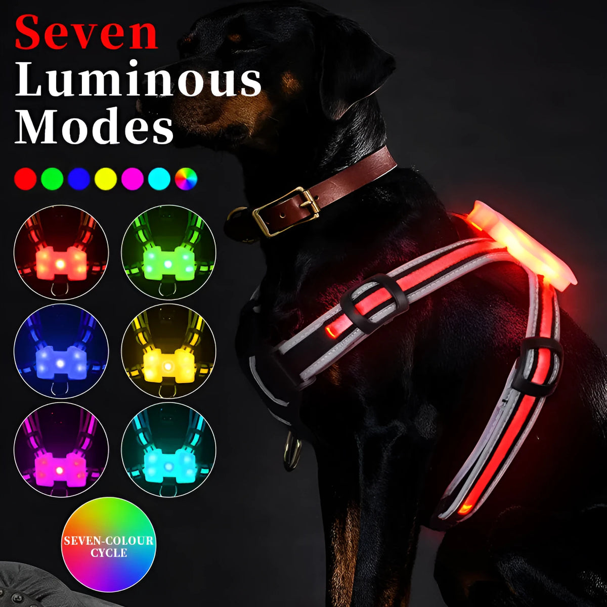 Seven-colour luminous dog lead with padded handle and USB charging cable on a dark background