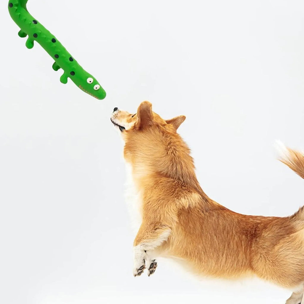 Green lizard-shaped dog chew toy with squeaker for aggressive chewers