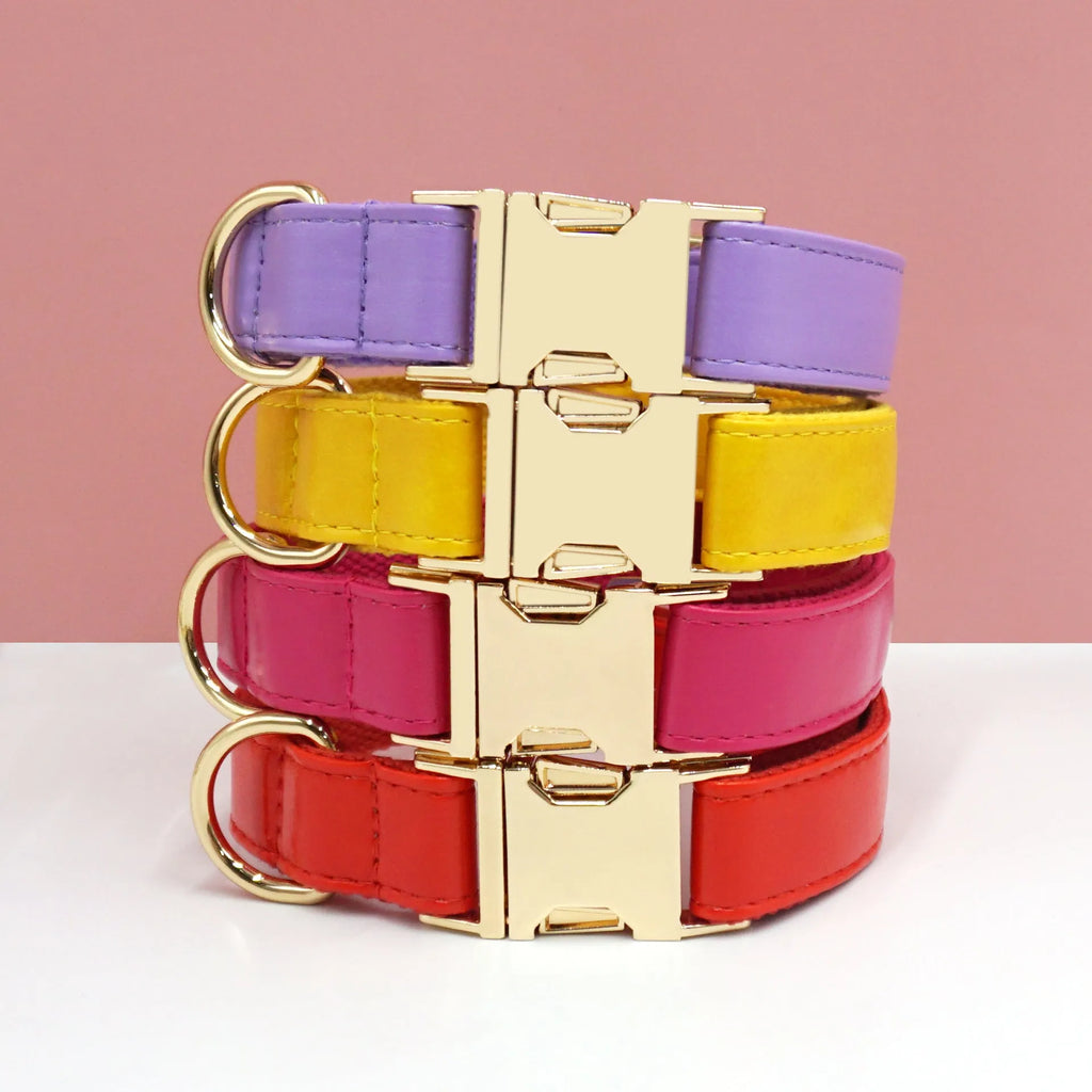 Simple colour blocking leather dog collar shown in a caramel colour, with labelled size options XS, S, M, L, XL.