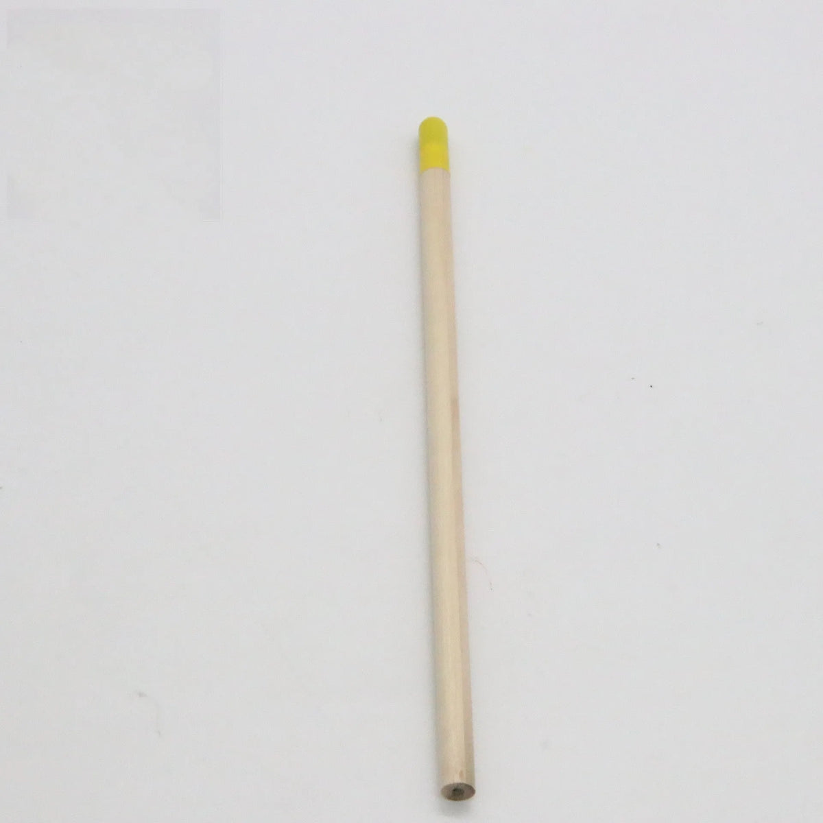 HB seed pencil with biodegradable capsule containing plant seeds in assorted colours