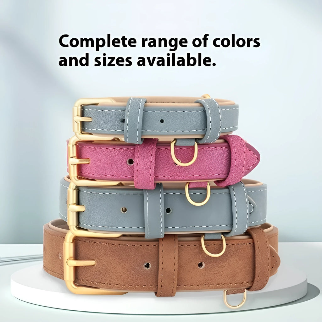 A double-layer leather dog collar and matching lead in rose red, brown, or blue, showing the adjustable buckle.