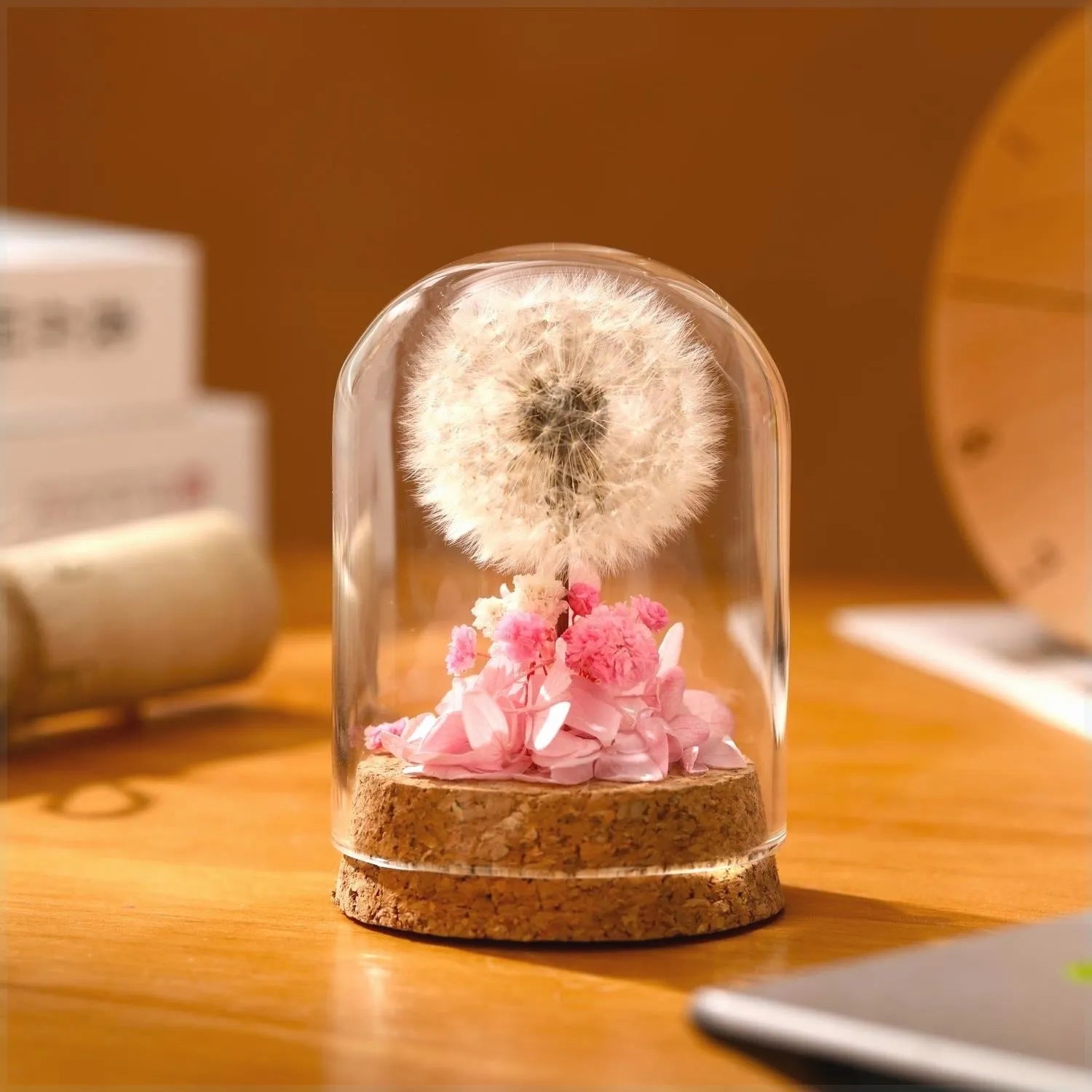 Glass dandelion-shaped night light ornament with gradient colour options on display surface