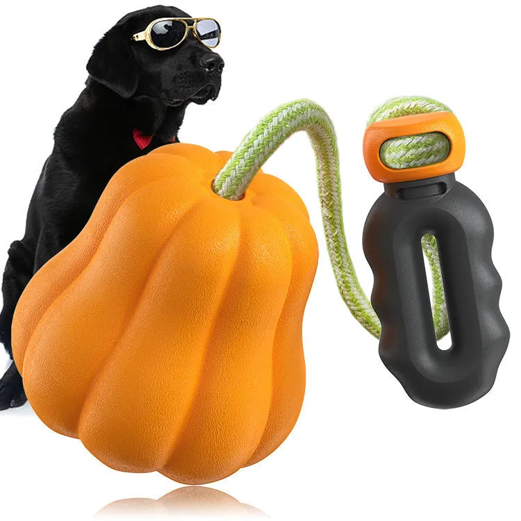 Orange pumpkin-shaped plastic dog toy with rope attachment for outdoor fetch games
