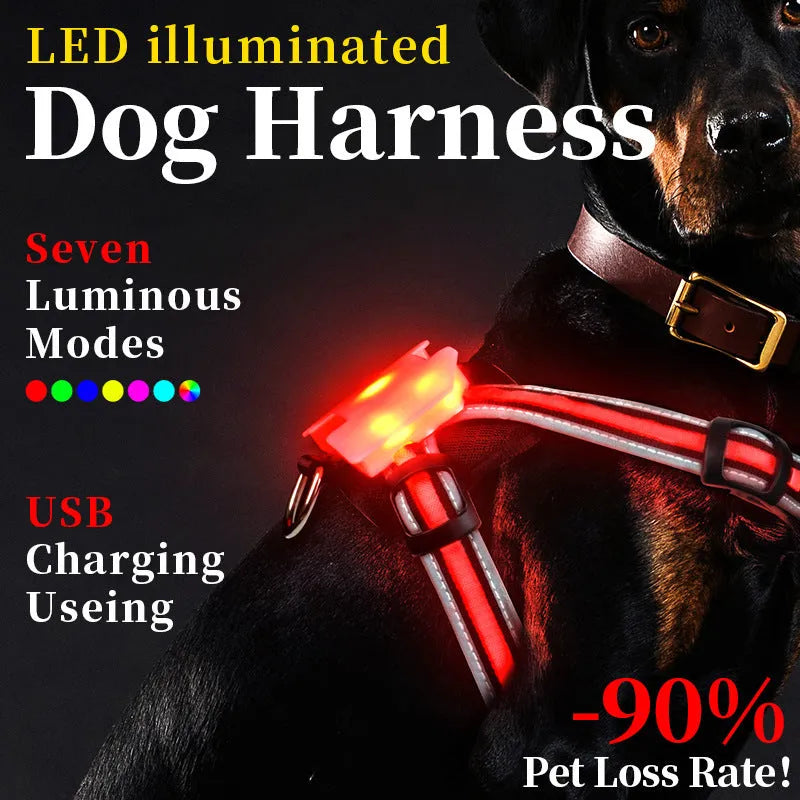 Seven-colour luminous dog lead with padded handle and USB charging cable on a dark background