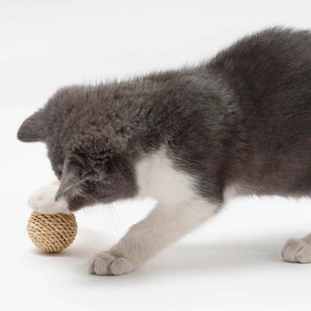 Two cat toys: a rattan ball with a bell and a faux feather ball on a plain background.