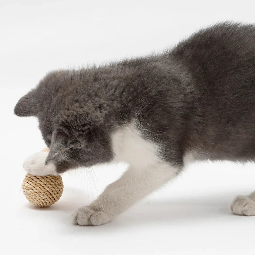 Two cat toys: a rattan ball with a bell and a faux feather ball on a plain background.