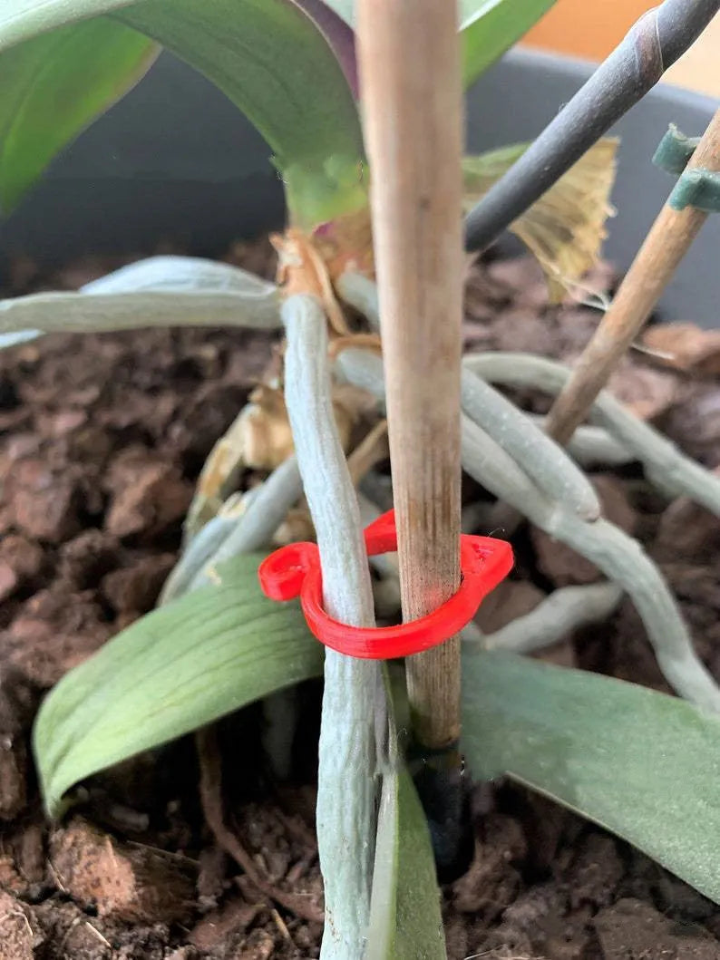 Cat-shaped plastic plant clip in red, yellow, green, or white colour for gardening use