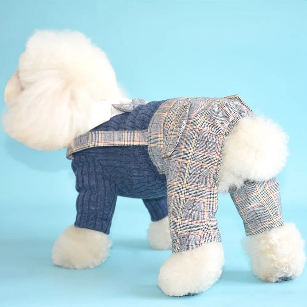 Cotton dog suit shirt in dark blue or orange colour options