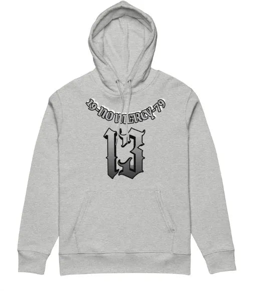 Fleece-lined polyester hooded sweater in loose fit pullover style