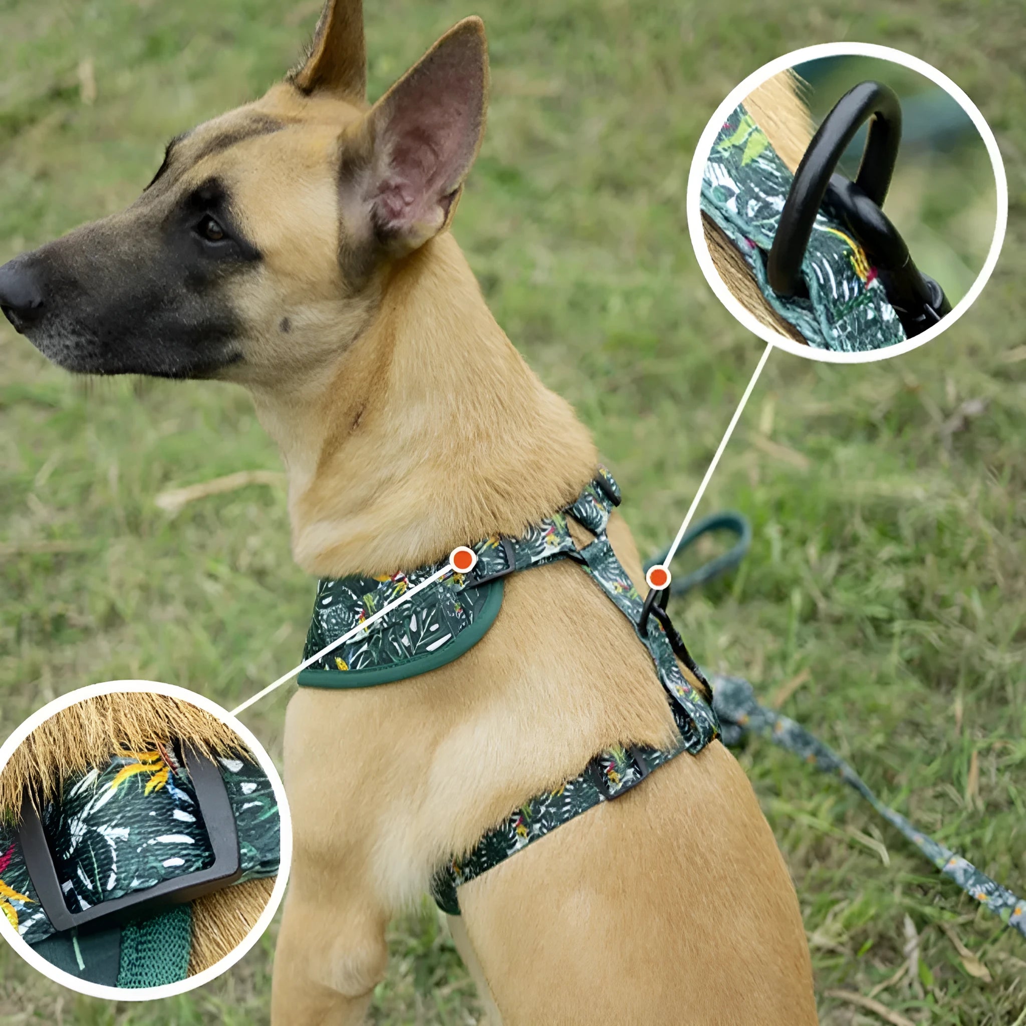 Six-piece adjustable pet vest harness set with haulage rope, collar, waste bag, bow tie, and triangle scarf.
