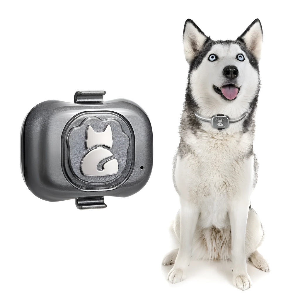 Black GPS pet locator with hanging rope attachment for dog or cat collar tracking