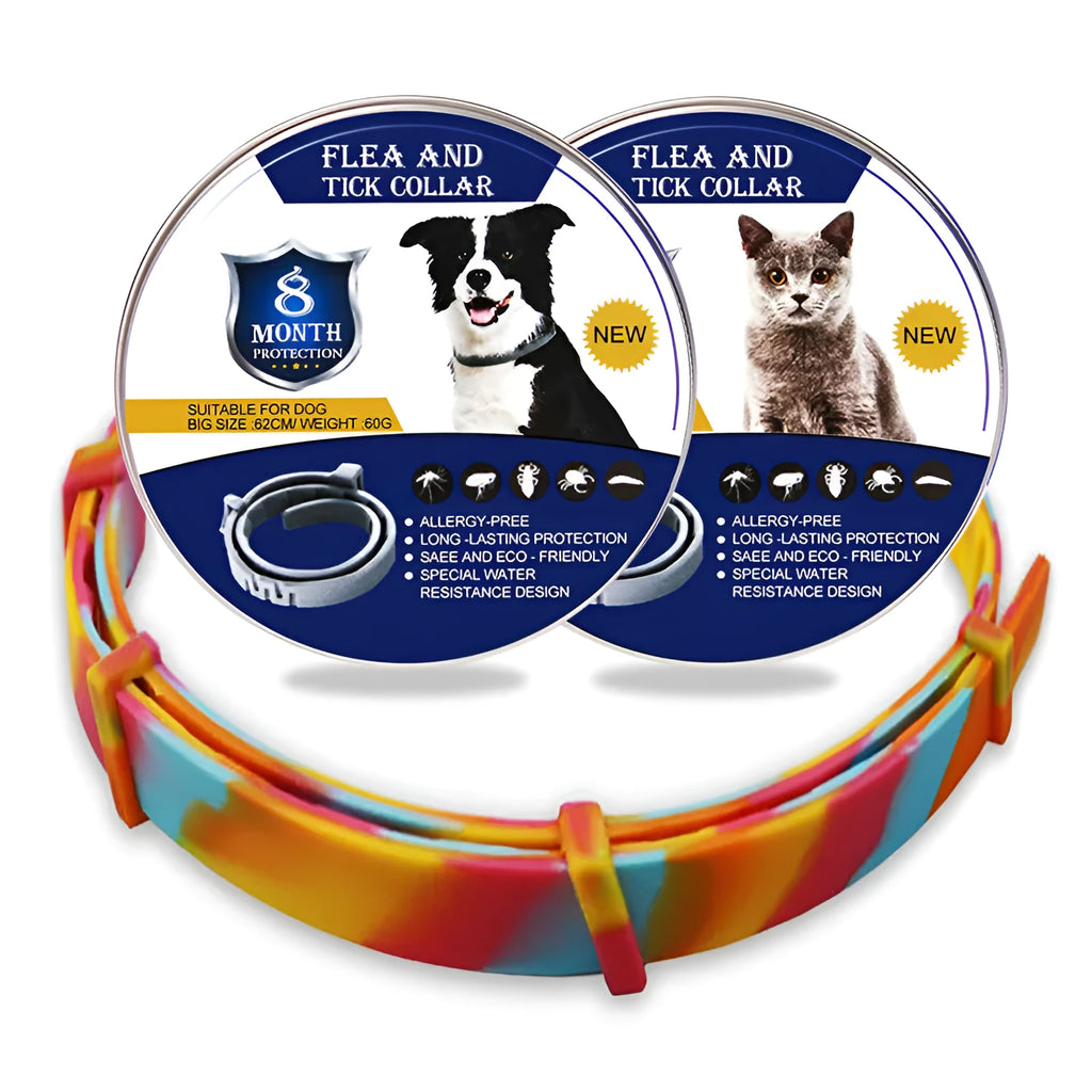 Rainbow coloured plastic flea and lice prevention collar for pets