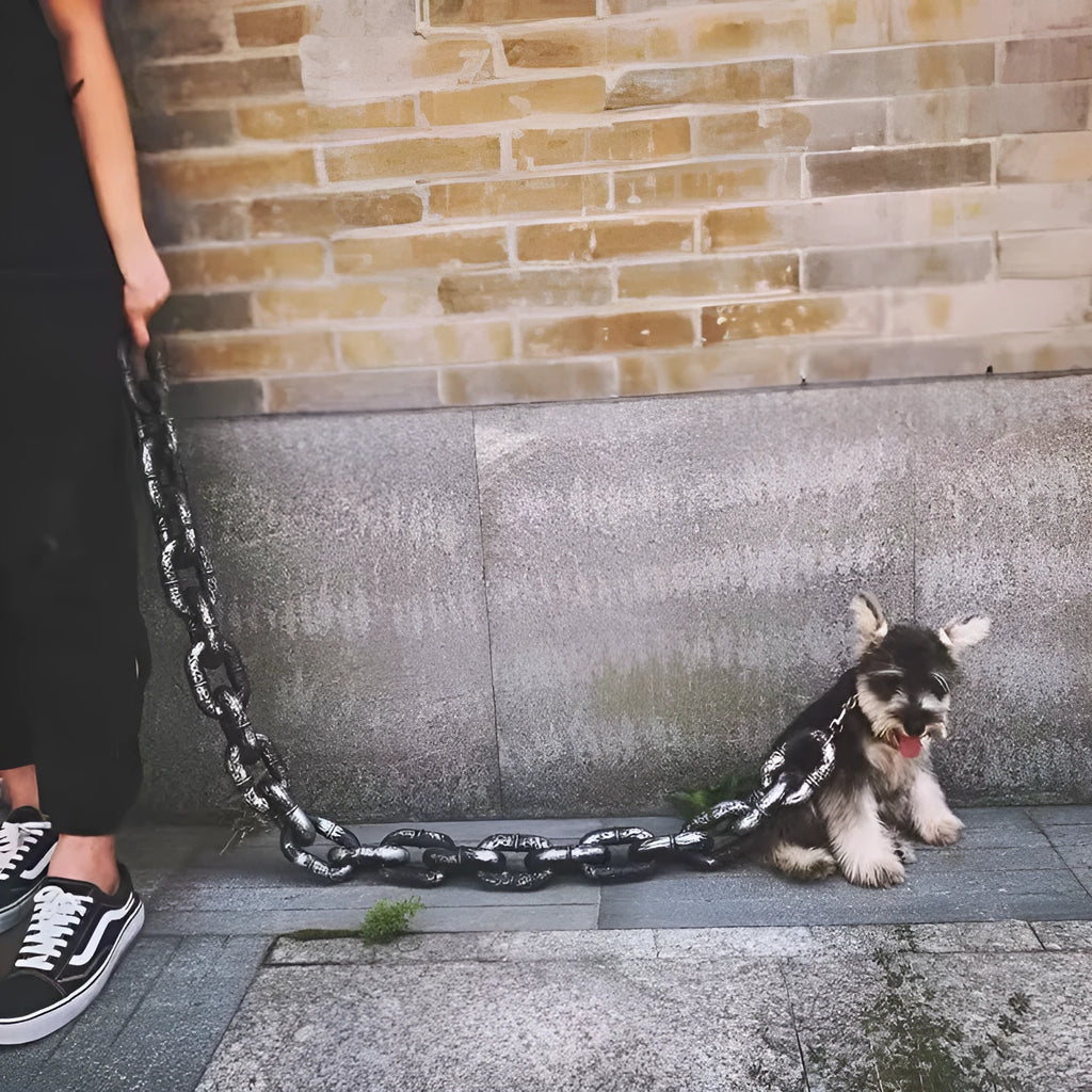 Metallic dog leash prop in bronze antique silver black colours with length options for video production