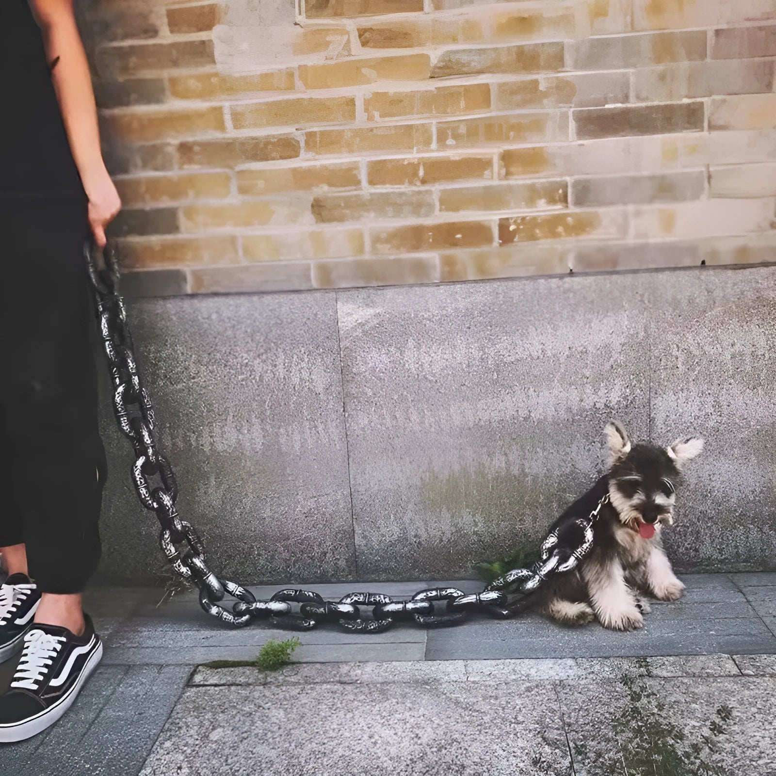 Metallic dog leash prop in bronze antique silver black colours with length options for video production