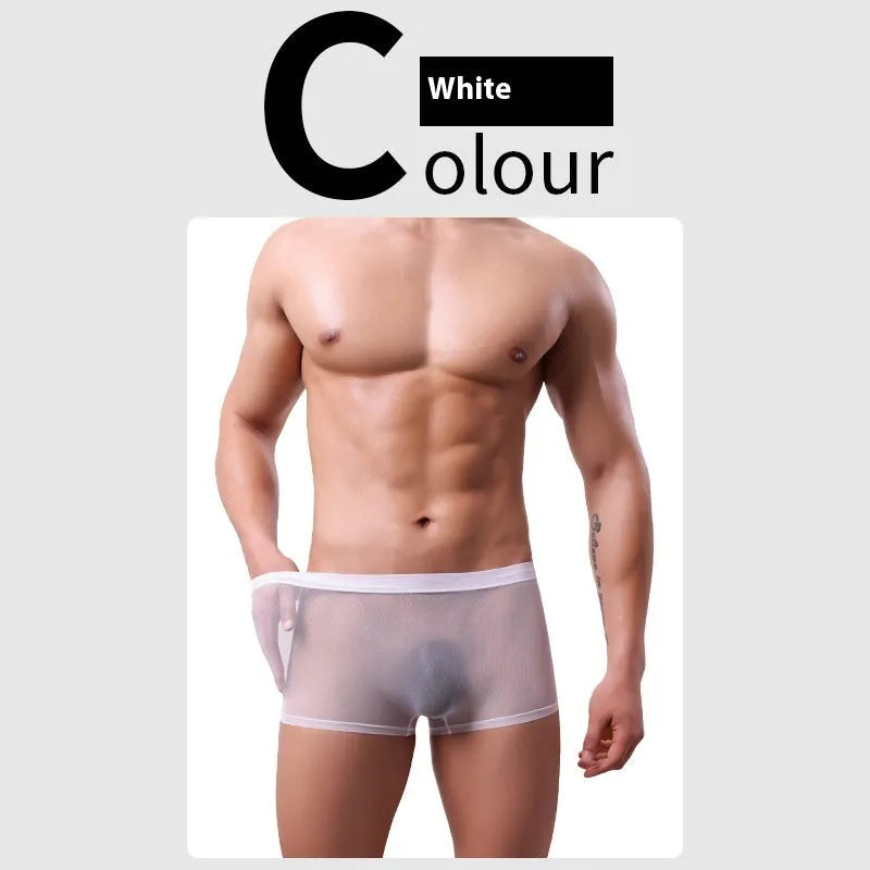 Men's mesh boxer briefs in thin sheer polyester fabric with low waist design