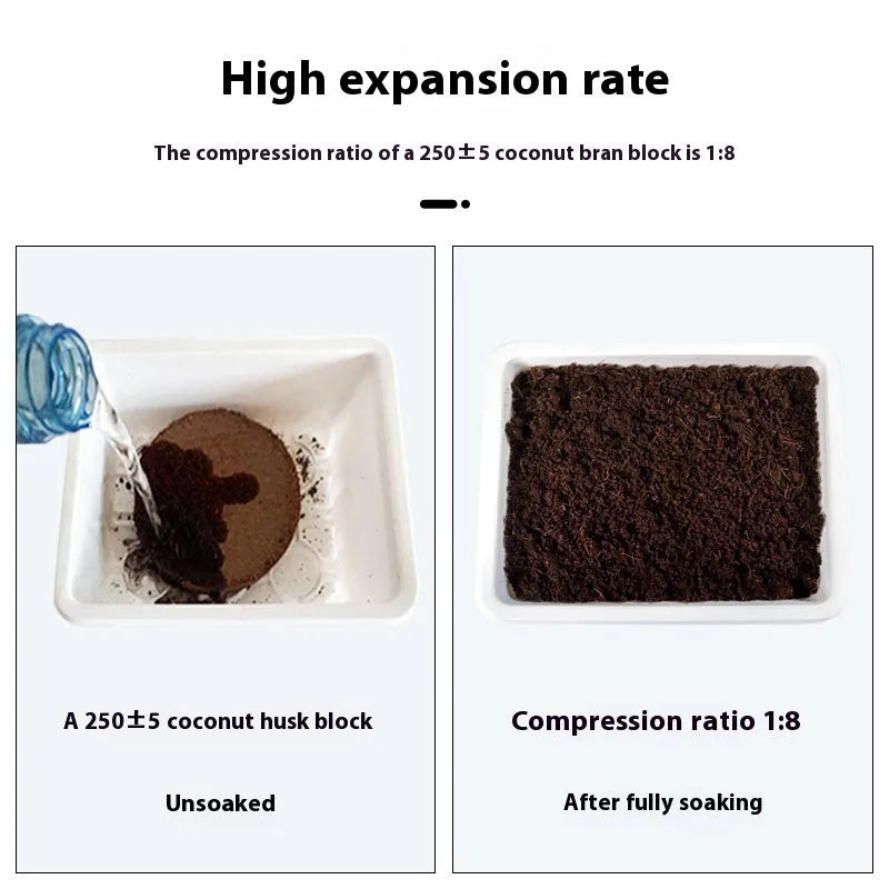 Assorted sizes of compressed nutrient soil blocks for gardening and seedling cultivation.