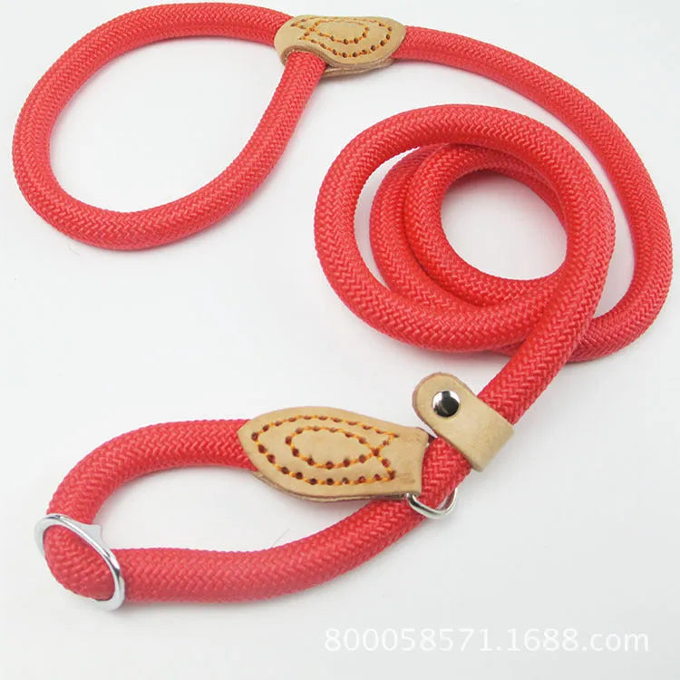 Brown nylon P chain hand holding dog leash showing 2.1 metre length and thickness options