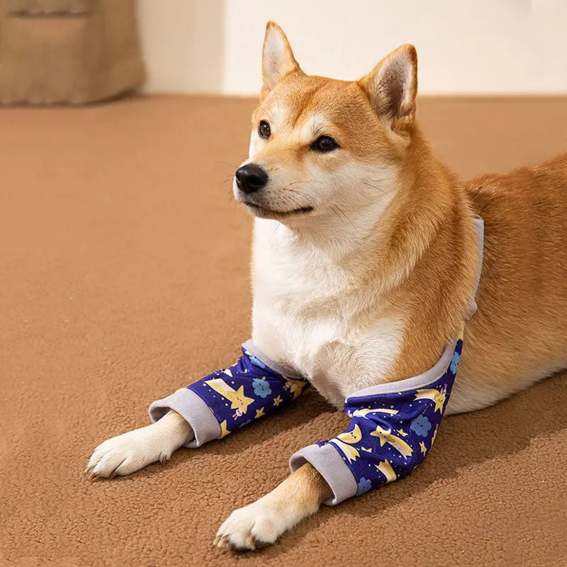 Adjustable dog knee protector with extra-thick elbow padding and matching scarf on medium breed dog
