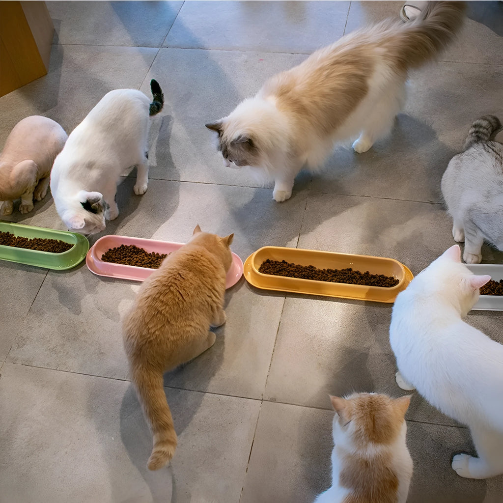 Green, pink, and yellow leakproof plastic pet food and water bowls for multiple kittens or puppies.