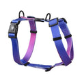Gradient colour polyester dog harness in sizes S, M, L.