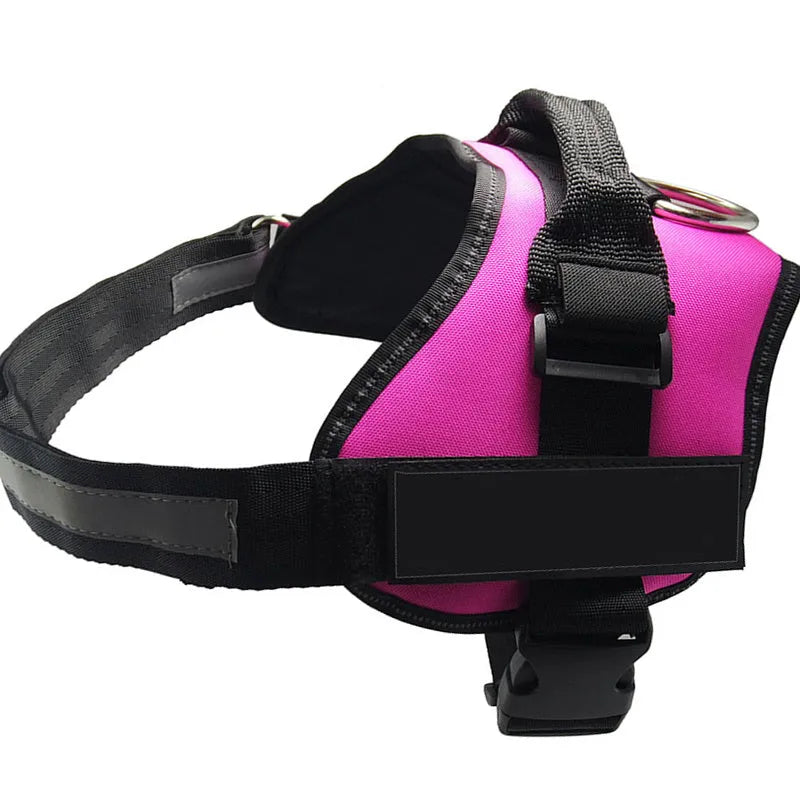 Adjustable nylon dog harness with reflective strips and a sturdy handle on a dog.