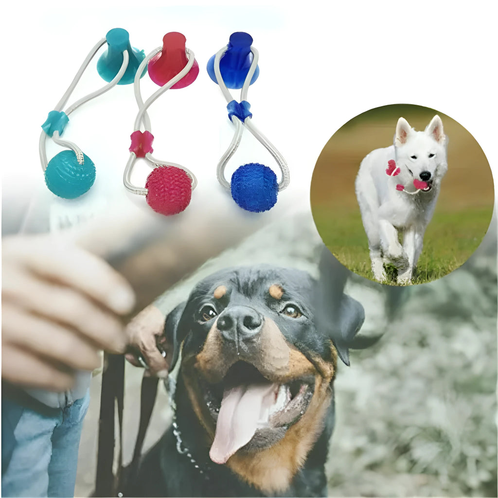 Dog biting sucker multifunction pet molar bite toy made from plastic, rubber, TPR and cotton fibre rope for dogs