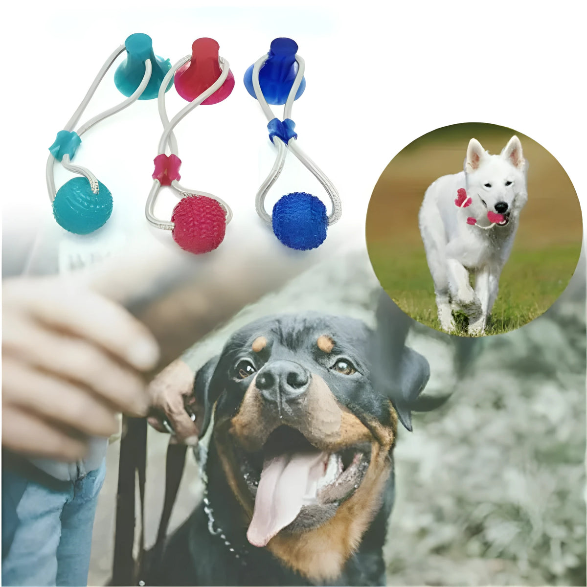 Dog biting sucker multifunction pet molar bite toy made from plastic, rubber, TPR and cotton fibre rope for dogs