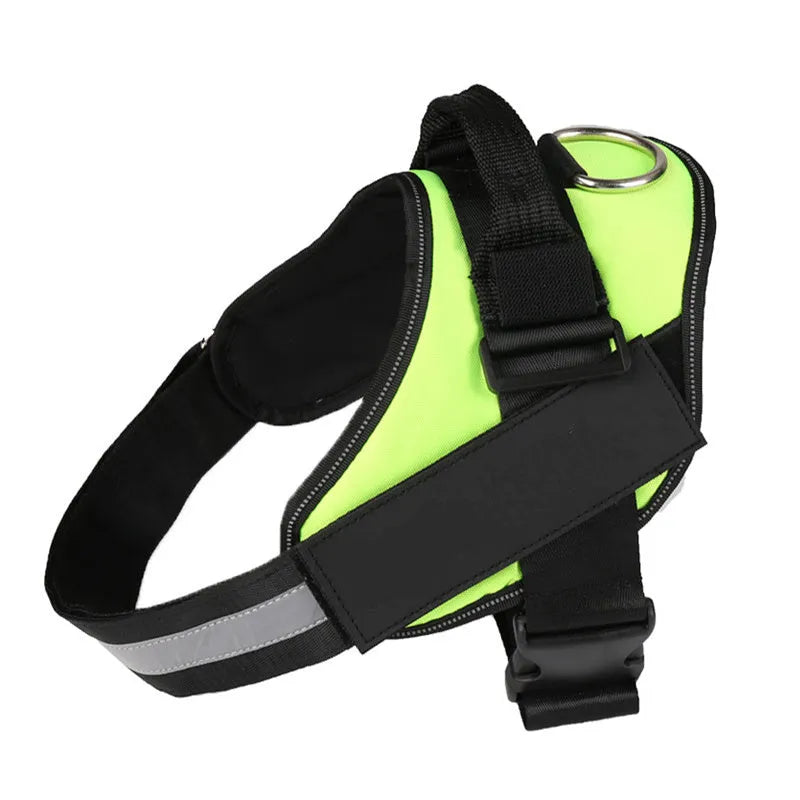 Adjustable nylon dog harness with reflective strips and a sturdy handle on a dog.
