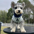 Blue and gray white pet hoodie with reflective lettering for cats and dogs