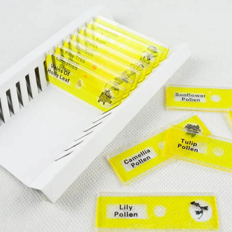 Plastic microscope slides with prepared biological specimens in red, green, yellow, and blue colour-coded categories
