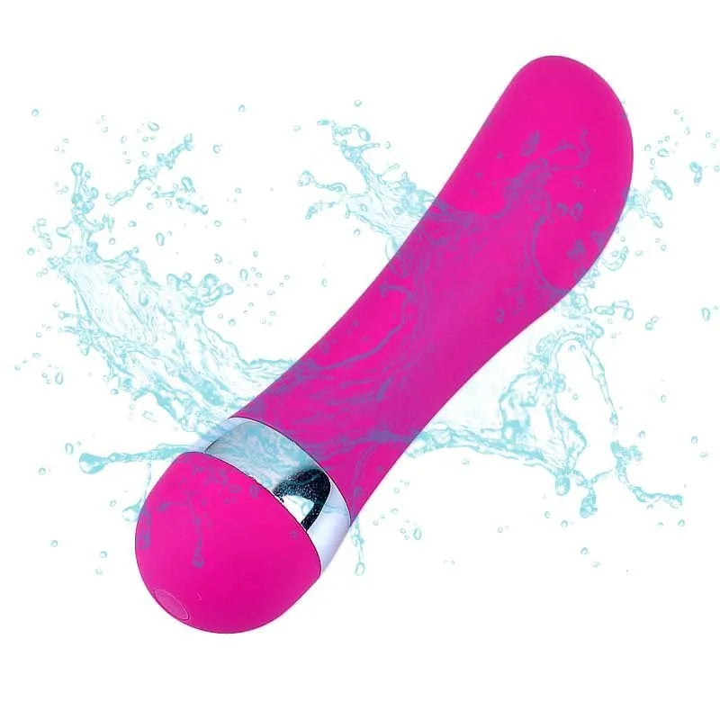 Six realistic mini dildo styles for women including vaginal and anal plug options