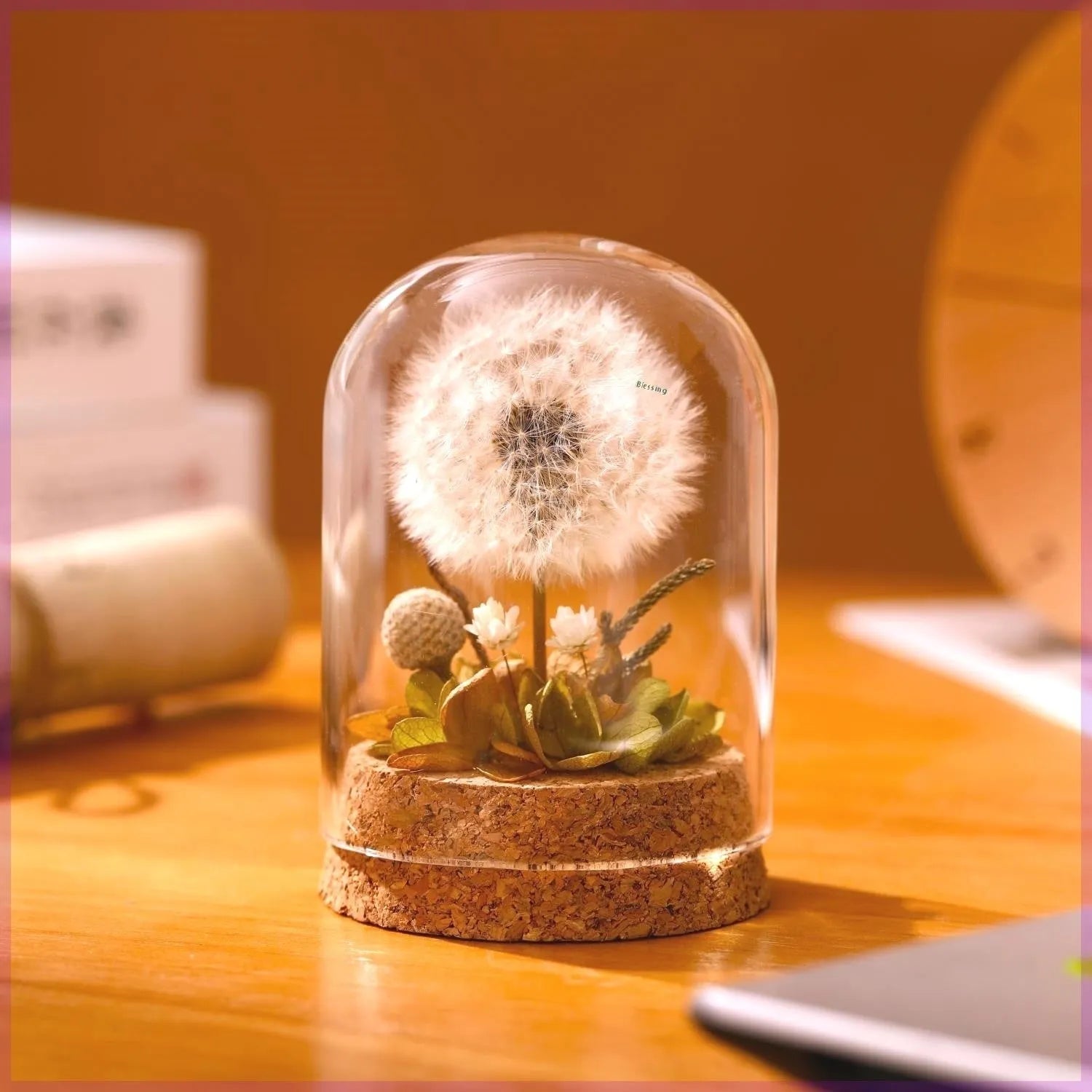 Glass dandelion-shaped night light ornament with gradient colour options on display surface