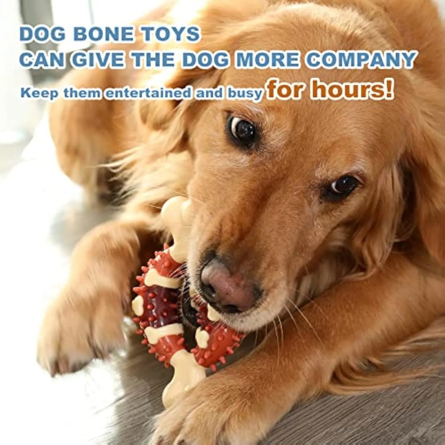 Natural rubber bone-shaped dog chewing toy for dental health in two sizes