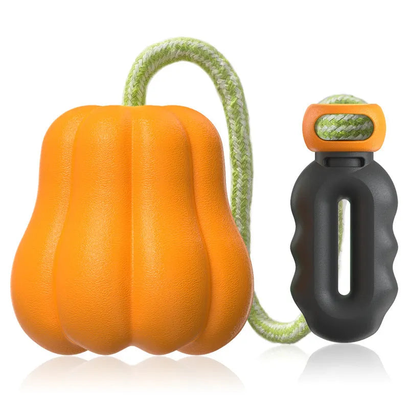 Orange pumpkin-shaped plastic dog toy with rope attachment for outdoor fetch games
