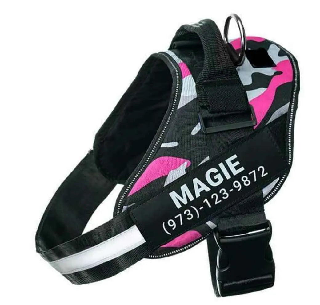 Adjustable nylon dog harness with reflective strips and a sturdy handle on a dog.
