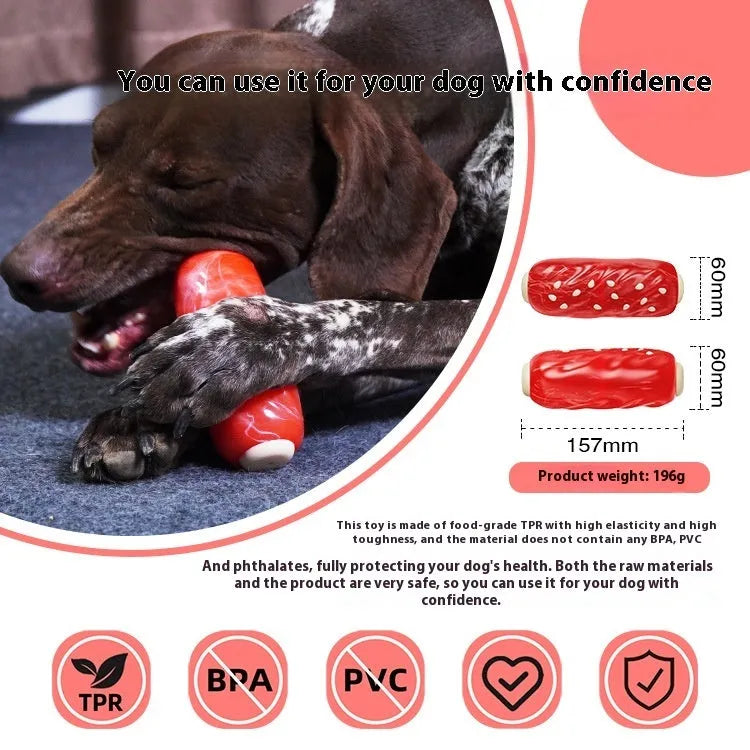 Plastic molar rod dog chew toy with treat dispensing holes