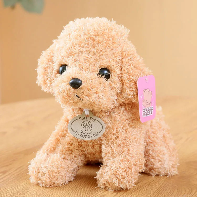 Teddy dog plush toy in short plush, 20cm to 30cm, with colour box packaging and multiple colour options.