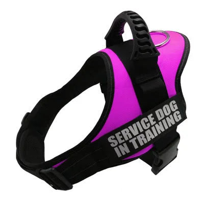Adjustable nylon dog harness with reflective strips and a sturdy handle on a dog.