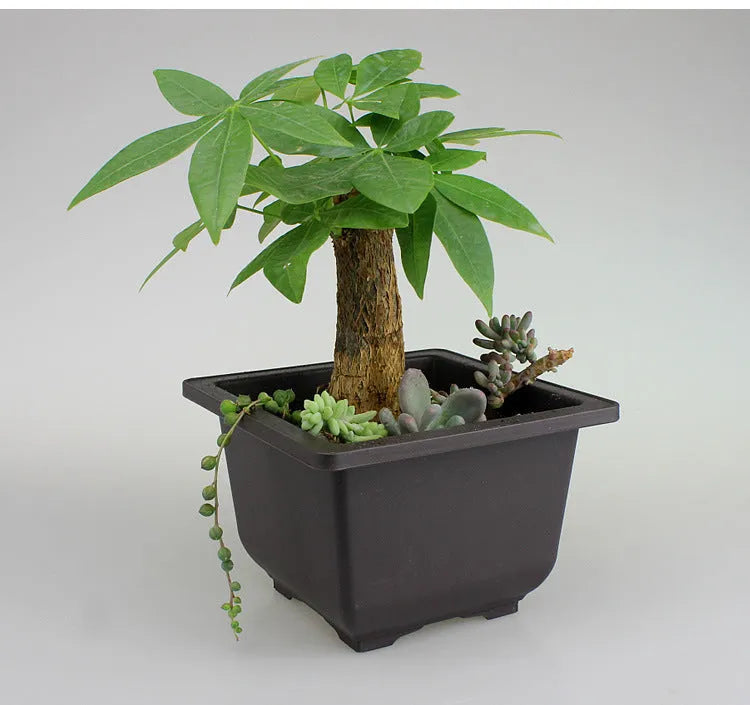 Dark brown antique-style plastic flowerpot in recycled material, showing classic design for indoor or balcony plants