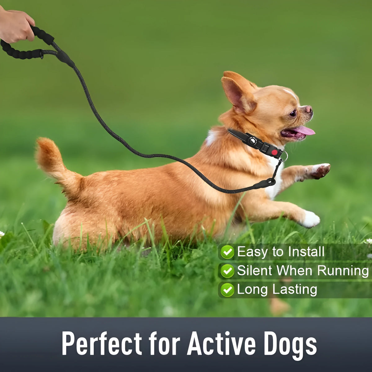 Reflective nylon dog collar with diving cloth tracker cover, in black, shown with adjustable buckle and four size options