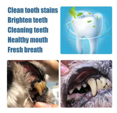 Pet teeth whitening pen and dental brush kit for dog and cat tartar removal.