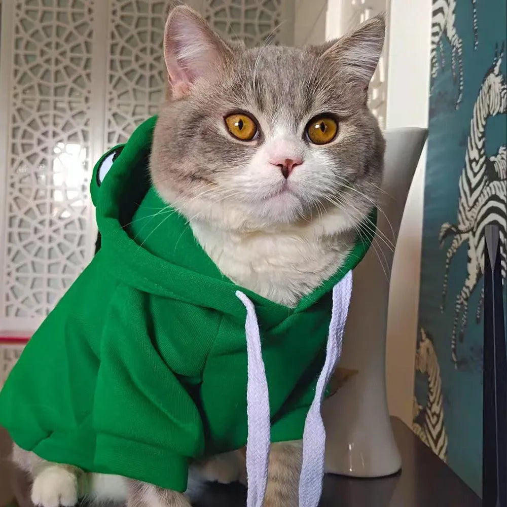 Green frog pattern pet hoodie costume for small dog wearing