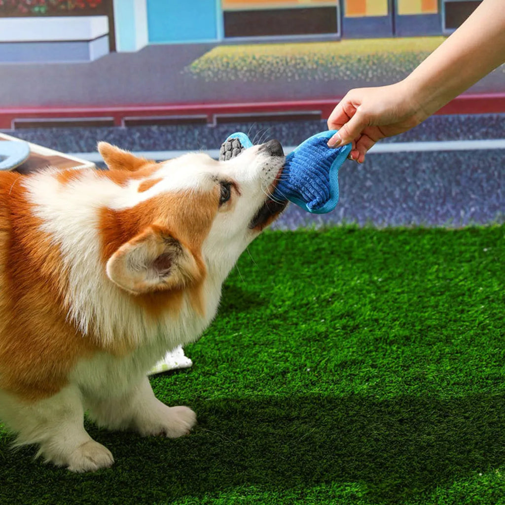 Blue teddy dog toy with a squeaker bone model, showing soft plush and corn fleece lining.