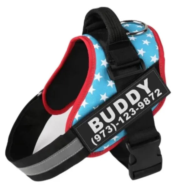 Adjustable nylon dog harness with reflective strips and a sturdy handle on a dog.