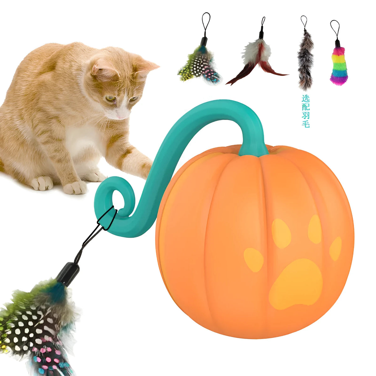 Automatic LED cat toy ball in watermelon green and pink or pumpkin orange design