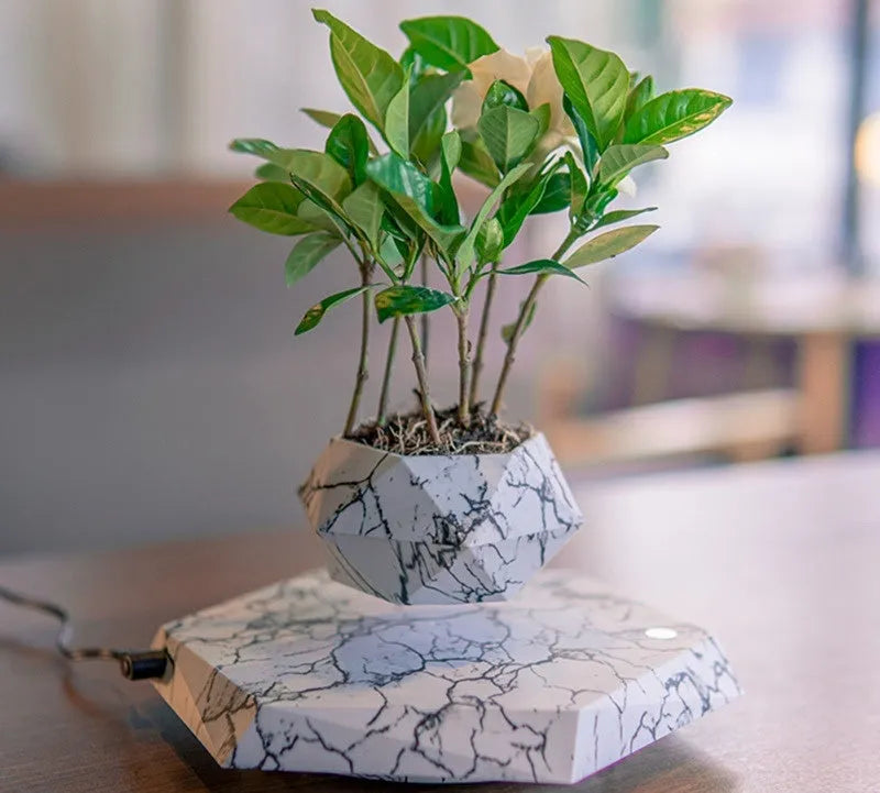 Magnetic levitating marble-colour plant pot floating above base with small plant