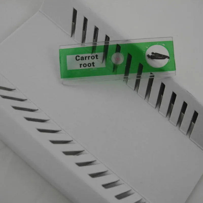 Plastic microscope slides with prepared biological specimens in red, green, yellow, and blue colour-coded categories