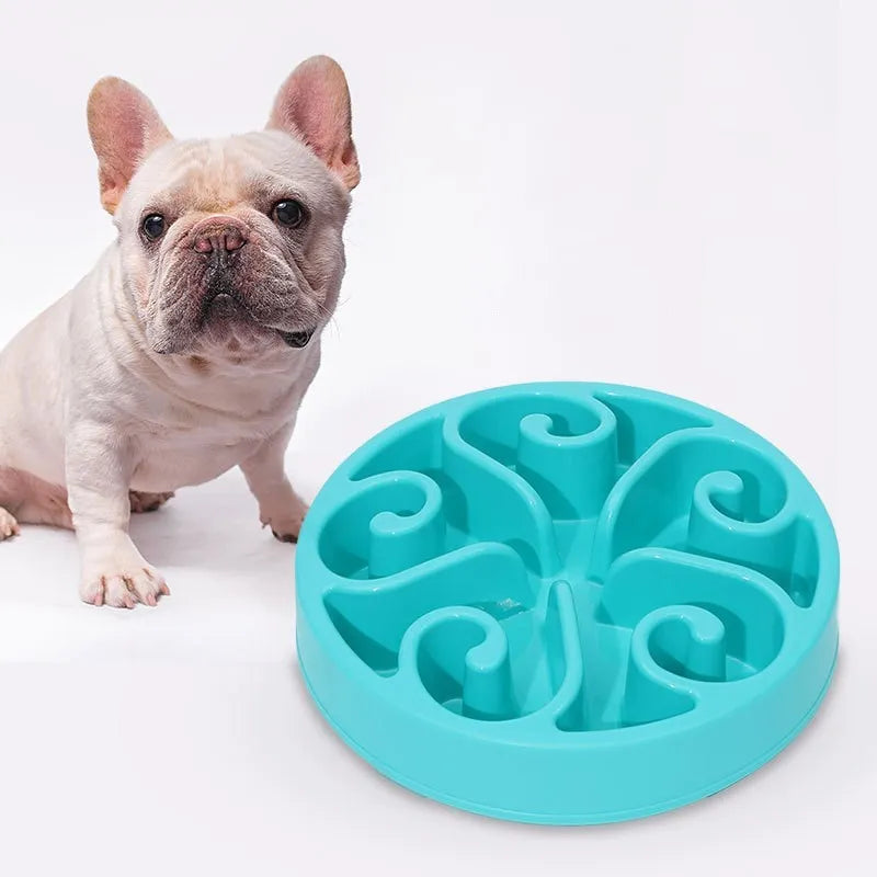 Choking prevention dog food bowl for puppies in blue PP material, slow feed design
