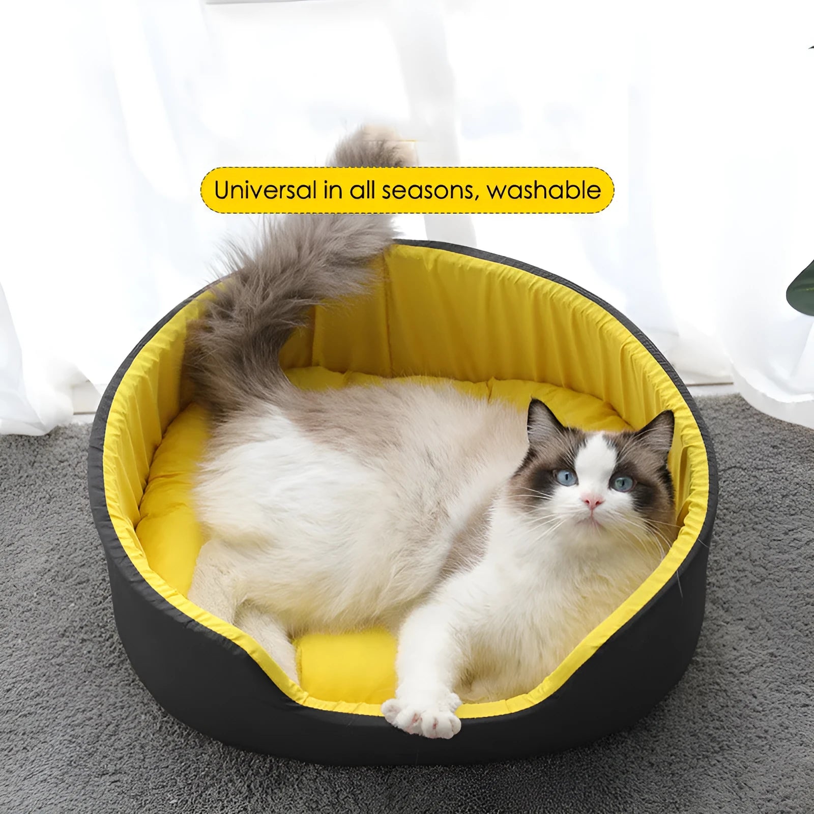 Washable cloth pet kennel for cats and dogs with removable cushion in black or green.